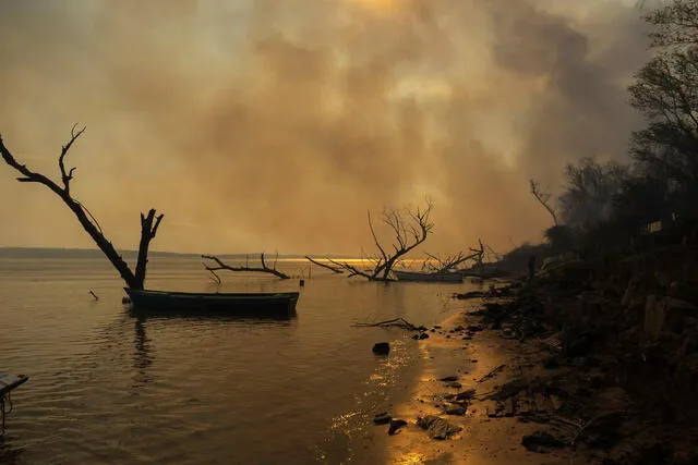 Los incendios han incrementado en el cauce del río en el delta del Paraná. Foto: Sebastián López Brach   