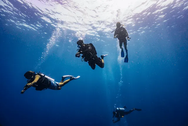  El buceo recreativo está permitido hasta una profundidad máxima de 12 metros. Foto: AFP   