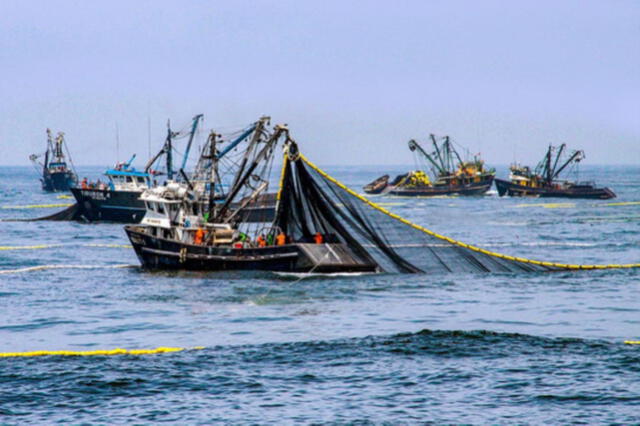  Pescadores artesanales denunciaron hace algunos meses que Produce buscaría reducir controles para el ingreso de barcos chinos. Foto: difusión<br><br>    