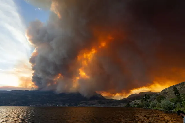 Miles de habitantes de las ciudades de Kelowna y West Kelowna, recibieron la orden de evacuar sus viviendas. Foto: AFP   