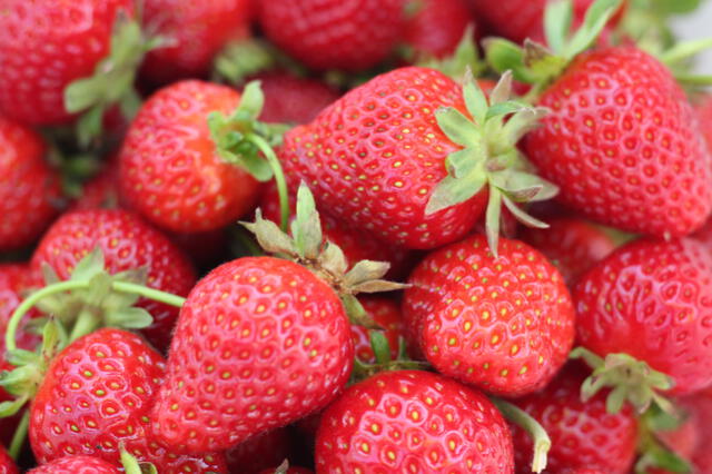  Las fresas son altamente valoradas por su alto contenido de vitamina C. Foto: Pexels   