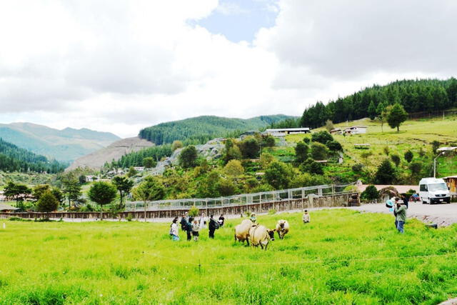 Cajamarca es la región más pobre del Perú, según el INEI. Foto: Andina   