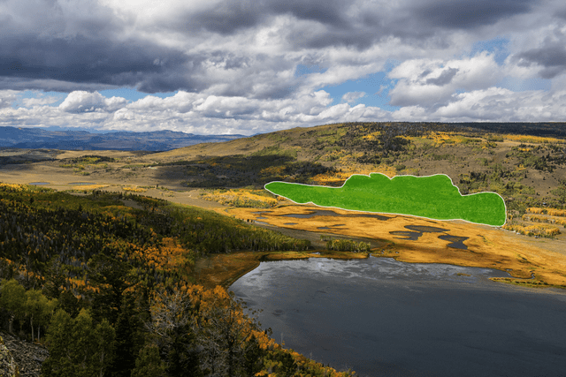  El área pintada de verde indica la extensión del bosque de álamos Pando, en Utah. Foto: Friends of Pando   
