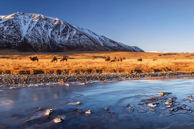 Mongolia es un país con más de 38 millones de habitantes. Foto: Lonely planet   
