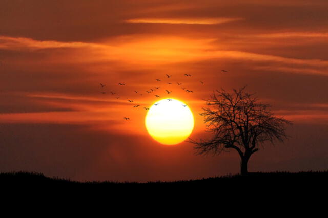  El solsticio de diciembre marca el inicio del verano en el hemisferio sur. Foto: Pexels   