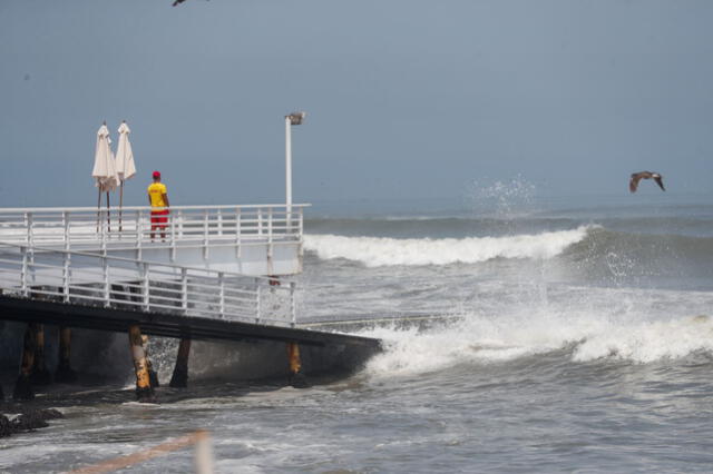  Tener una salida al mar es crucial para facilitar el comercio internacional, fomentar el desarrollo económico y asegurar la conectividad global de un país. Foto: Andina   