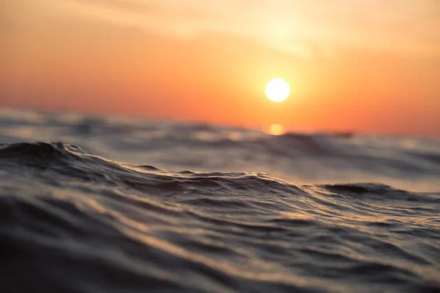  La temperatura de los océanos a continuado en aumento en los últimos años. Foto: Pixabay   