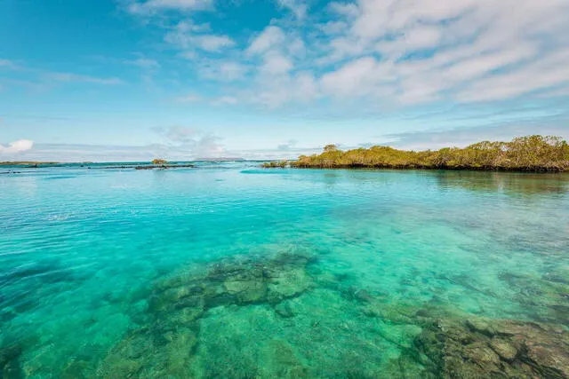  En la actualidad, las islas Galápagos se han convertido Patrimonio de la Humanidad por la Unesco. Foto: MagazineCivitatis.   