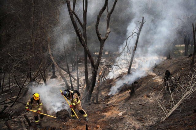 Los bomberos trabajan contra el tiempo para tratar de apagar los incendios de Chile. Foto: AFP   