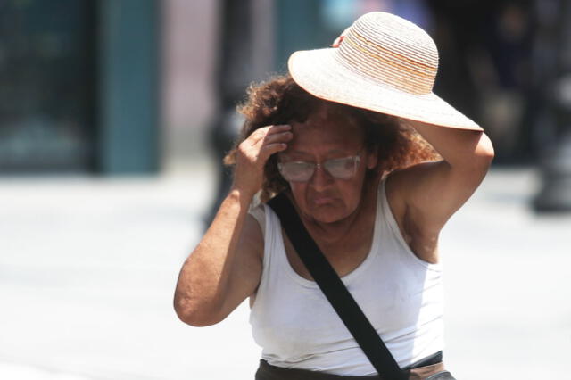  Las personas ancianas pueden presentar más dificultades para responder a los indicios de un golpe de calor. Foto: Andina 