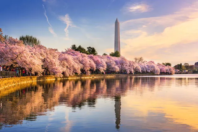 Estas son las 5 mejores ciudades de Estados Unidos para visitar en primavera