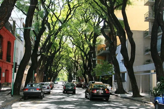  Esta calle destaca por su arte, gastronomía e historia. Foto: La Nación<br>    
