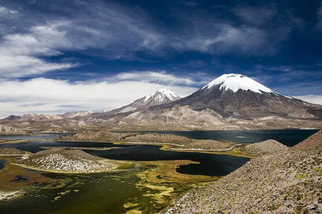 Parque Nacional de Lauca en Chile. Foto: Tripadvisor   
