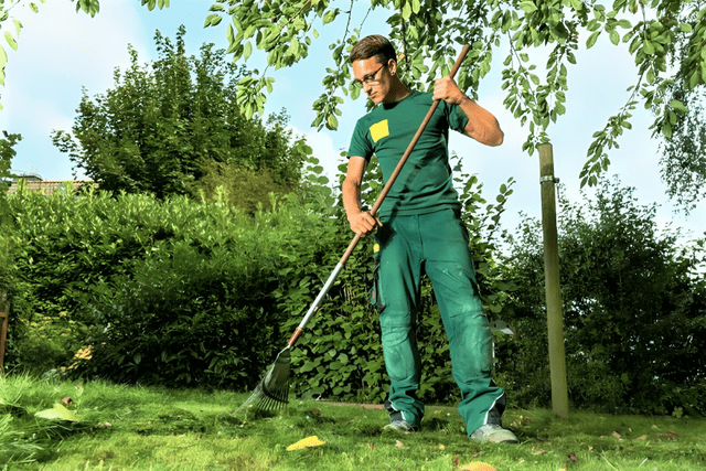 Los expertos en jardinería llevan a cabo una diversidad de tareas asociadas con el diseño y cuidado de áreas verdes. Foto: Freepick/referencial   