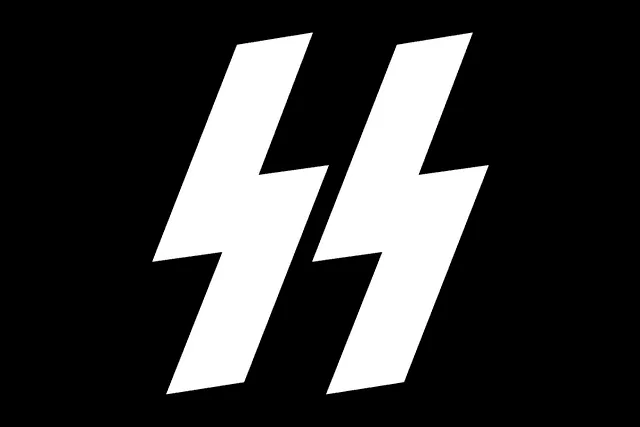 <em> Logo de las SS nazi. Foto: captura de Google</em>   