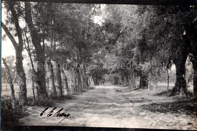 Parte baja de Zárate, cerca a la hacienda Acarruz, a inicios del siglo XX. Foto: colección Jorge Quevedo Voltaire/David Reyes/Facebook   