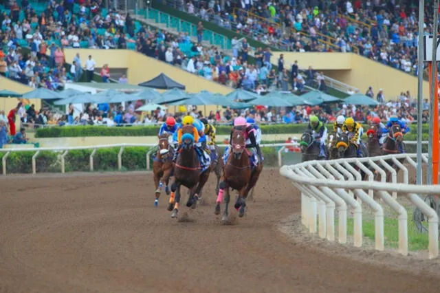 Jinétes en acción durante la carrera del hipódromo. Foto: difusión   