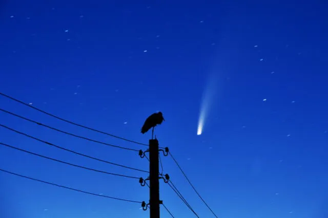 El cometa diablo podrá ser visto por miles de mexicanos. Foto: AFP   