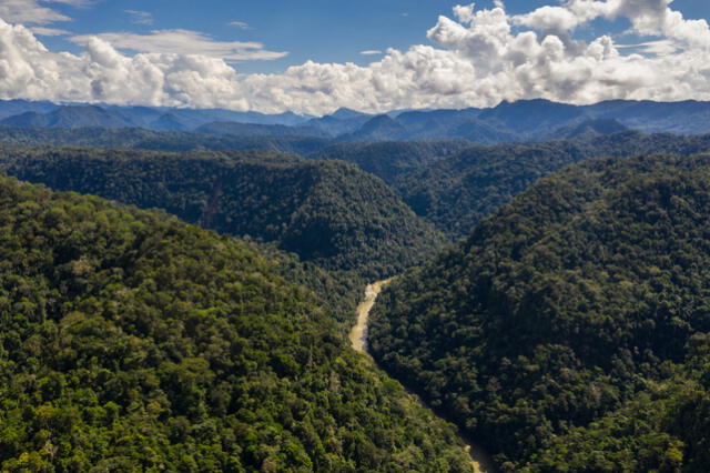 El Parque Nacional Río Abiseo es una de las áreas protegidas donde está el mono choro cola amarilla. Foto: Diego Pérez/GIZ   
