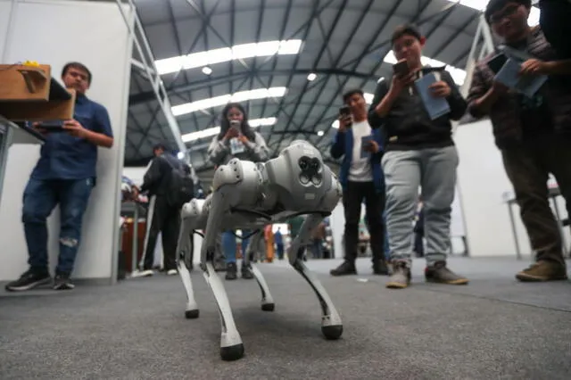  UNI implementaría carrera de Inteligencia artificial para este año. Foto: Andina   