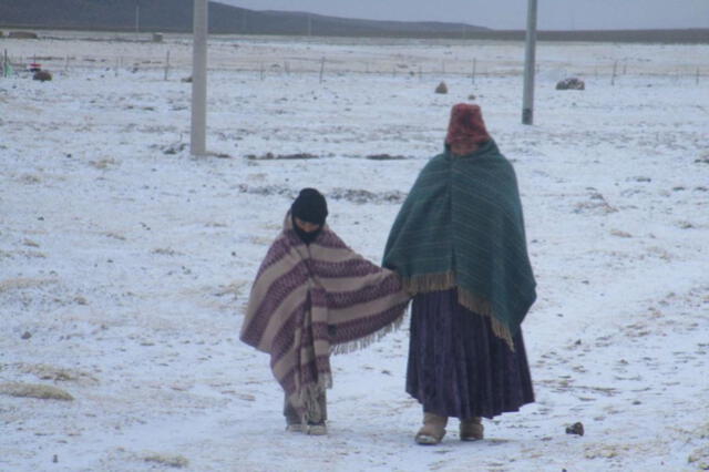  Centro y Sur Andino del Perú registran temperaturas bajo cero. Foto: Andina   