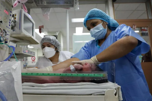  El Instituto Nacional Materno Perinatal es un establecimiento de Salud III-2. Foto: Ministerio de Salud.<br><br>    