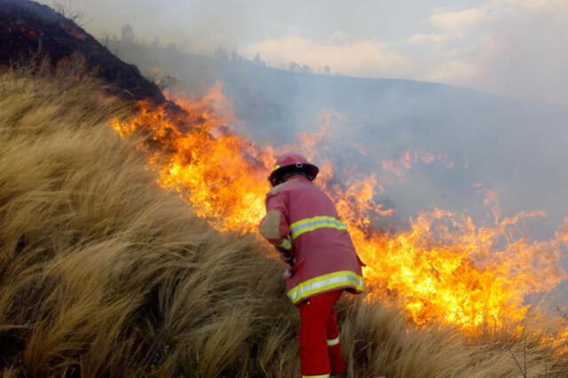 Incendio forestal en Perú