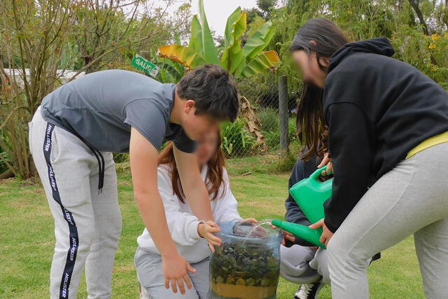 El colegio cuenta con instalaciones modernas y bien equipadas, incluyendo laboratorios de última tecnología, espacios creativos y áreas deportivas avanzadas. Foto: Colegio Fontan Capital   