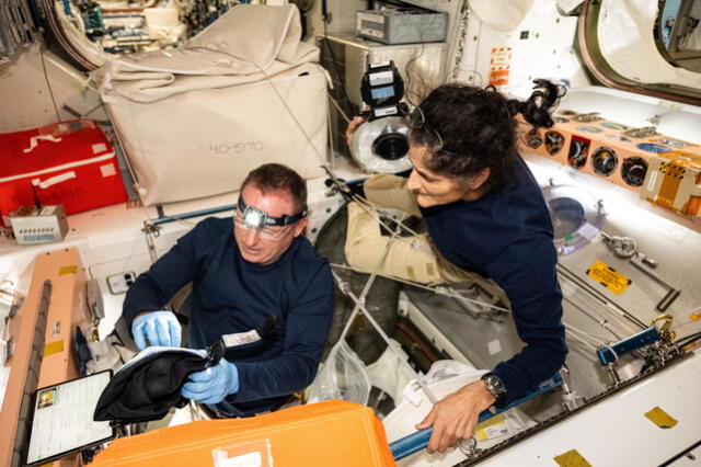 Wilmore y Williams han estado ocupados apoyando a la investigación de la estación, el mantenimiento y las pruebas del sistema Starliner, entre otras actividades. Foto: NASA   