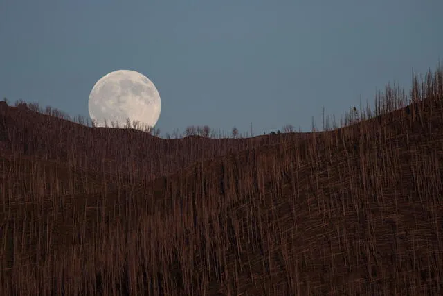 Luna llena sobre Yellowstone, en Estados Unidos. Foto: Ronan Donovan   