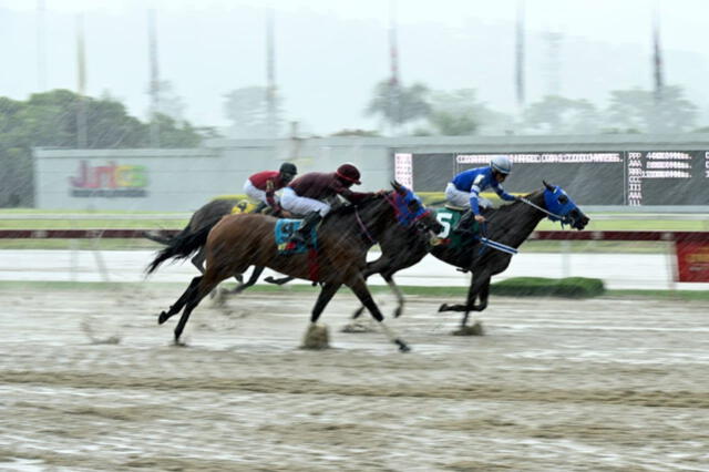 Al hipismo no lo detiene ni la lluvia. Foto: INH   