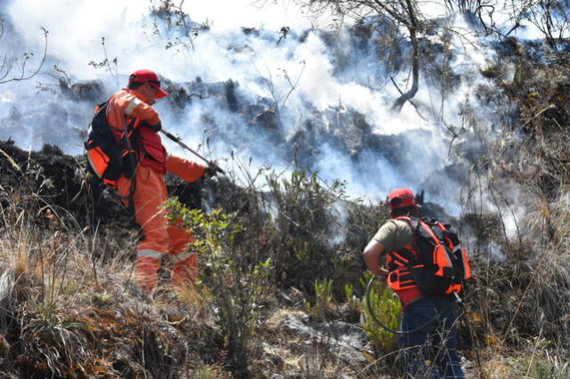 Los incendios provocan graves daños a las vías respiratorias. Foto: difusión   