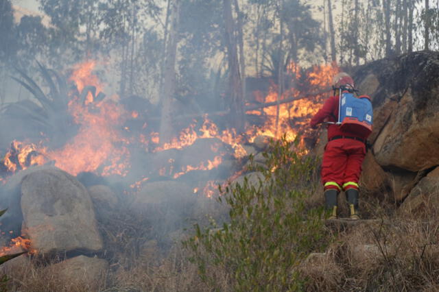 El gobernador de Huánuco exige a Dina Boluarte declarar en emergencia 73 distritos de la región por incendios forestales. Foto: Gore Huánuco   