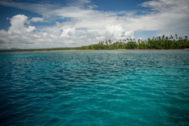  El hábitat del azor, la cordillera de Nakanai en Papúa Nueva Guinea, es una de las regiones más biodiversas del mundo. Foto: Expedia   