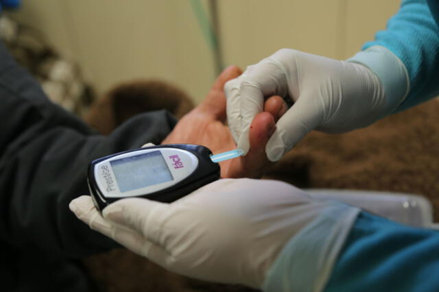  En Perú, la diabetes es un problema de salud pública creciente. Foto: Andina   