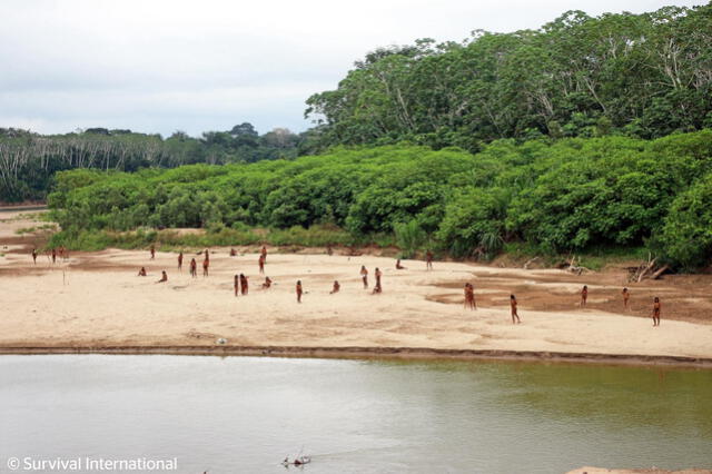 Los Mashco-Piro son semi-nómadas y cazadores-recolectores, habitan en Madre de Dios. Foto: Survival International   