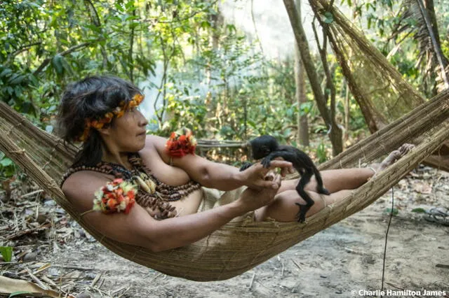 Los awás, pueblo indígena de la selva, poseen un profundo conocimiento de su entorno natural. Cada rincón, cada curso de agua y cada camino se encuentran grabados en su memoria. Foto: Survival International   