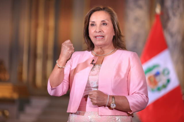 Dina Boluarte busca que el TC anule sus denuncias por protestas. Foto: Presidencia.    