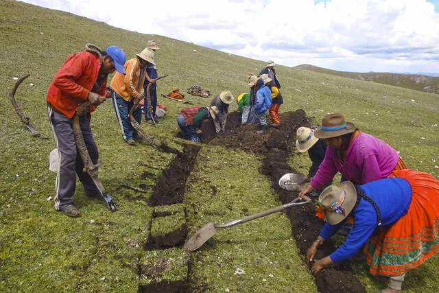 agricultura | sequía | siembra y cosecha de agua | Perú