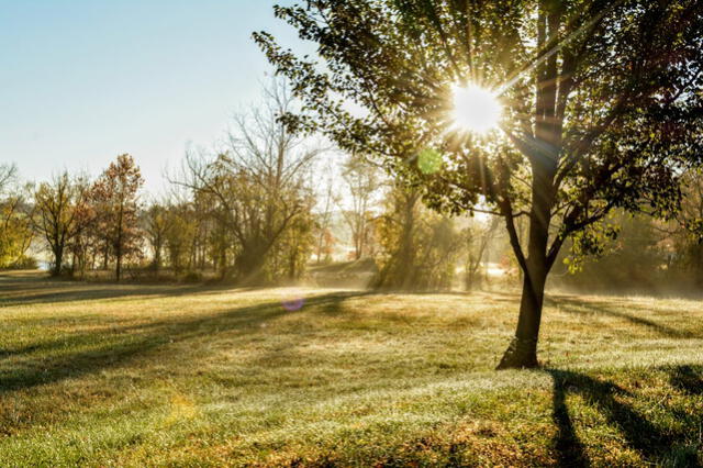 Clima de HOY en Estados Unidos: pronóstico del tiempo en Houston este 17 de octubre, según National Weather Service | lrtmusc | Clima Houston | Clima de hoy | El tiempo en