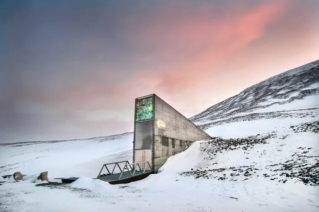  La Bóveda Global de Semillas de Svalbard es su función como un respaldo de seguridad para la biodiversidad agrícola mundial. Foto: Intriper   