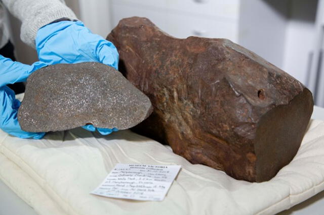  El meteorito Maryborough, una chondrita H5 de 4.600 millones de años, podría provenir del cinturón de asteroides entre Marte y Júpiter. Foto: Museo Victoria   