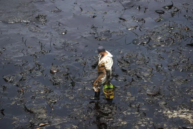 El derrame de petróleo contaminó el mar peruano y dañó la fauna silvestre marina.