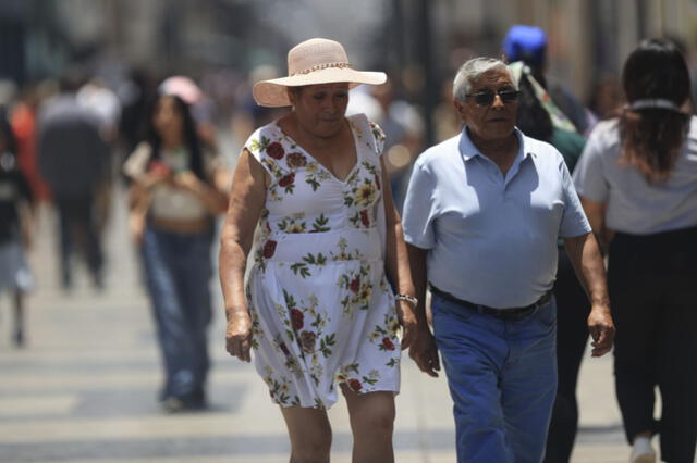 La salud psicológica de los peruanos se puede ver afectada por la poca vegetación