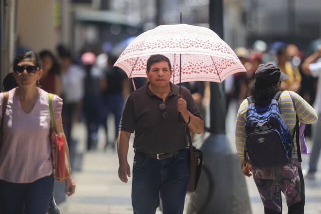 Las temperaturas en Lima son afectadas por la falta de áreas verdes. 