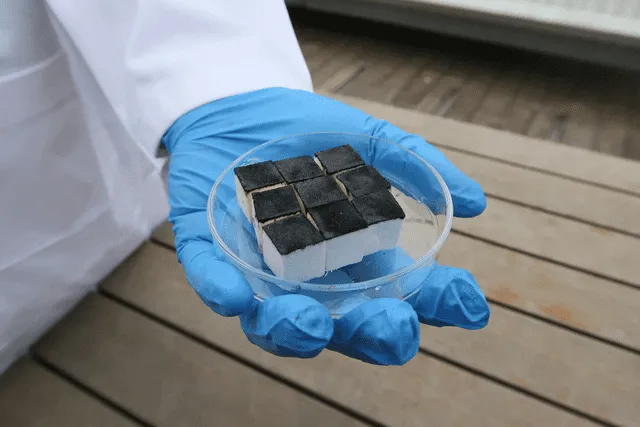  El dispositivo absorbe la humedad del ambiente cuando la tapa del vaso está abierta. Foto: RMIT   