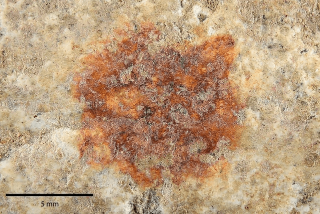 Detalle del punto rojo obtenido en la piedra de granito. Foto: Archaeological and Anthropological Sciences Detalle del punto rojo obtenido en la piedra de granito. Foto: Archaeological and Anthropological Sciences