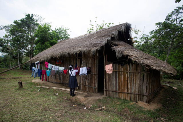 Las jóvenes de comunidades nativas se ven obligadas a estudiar en casa y tienen más limitaciones en su vida diaria. Las jóvenes de comunidades nativas se ven obligadas a estudiar en casa y tienen más limitaciones en su vida diaria.