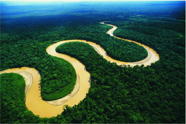 El Hábitat del paiche comprende todo el río Amazonas, además de los lagos adyacentes. Foto: fundación aquae