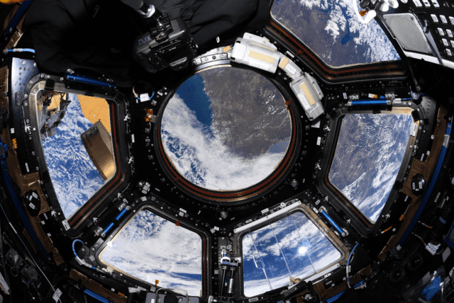 Vista interior de Crew-2 sobre la Tierra. Foto: Twitter captura